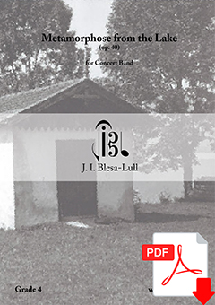 Portada de la obra Metamorphose from the Lake